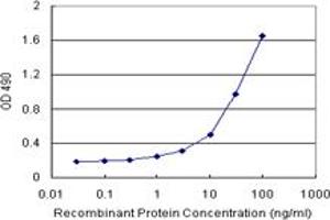Sandwich ELISA detection sensitivity ranging from 1 ng/mL to 100 ng/mL. (POU6F1 (Humain) Matched Antibody Pair)