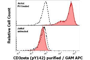 Anti-Hu CD3 zeta (pY142) purified antibody (clone EM-54) works in Flow Cytometry application Analysis of the antibody staining was performed on Jurkat cells treated or untreated with pervanadate (PV) prior to the fixation and permeabilization of cell suspension with cold methanol.