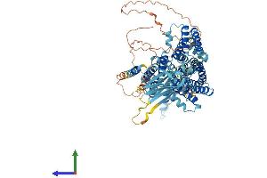 AlphaFold protein structure predicition of Mouse Recombinant Oca2 Protein, UniprotID Q62052