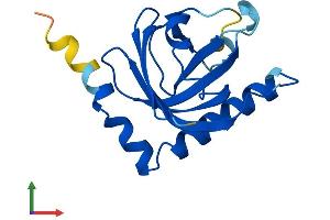 AlphaFold protein structure predicition of Human Recombinant RFK Protein, UniprotID Q969G6