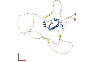 AlphaFold protein structure predicition of Mouse Recombinant Mef2b Protein, UniprotID O55087