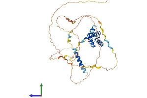 AlphaFold protein structure predicition of Human Recombinant TGIF1 Protein, UniprotID Q15583