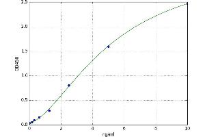 A typical standard curve
