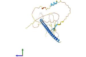 AlphaFold protein structure predicition of Mouse Recombinant Atf1 Protein, UniprotID P81269