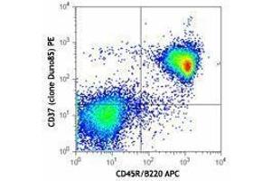 Flow Cytometry (FACS) image for anti-Tetraspanin 26 (TSPAN26) antibody (PE) (ABIN2662623)