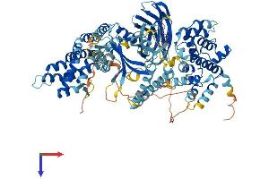 AlphaFold protein structure predicition of Mouse Recombinant Abr Protein, UniprotID Q5SSL4