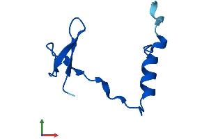AlphaFold protein structure predicition of Mouse Recombinant Nop10 Protein, UniprotID Q9CQS2