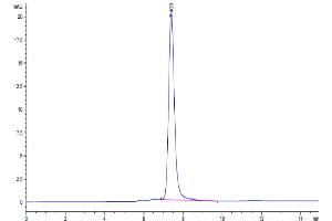 The purity of Cynomolgus HGF R is greater than 95 % as determined by SEC-HPLC.