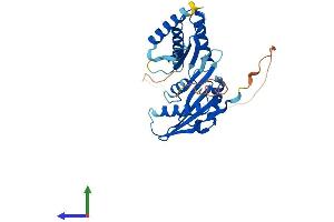 AlphaFold protein structure predicition of Mouse Recombinant Impact Protein, UniprotID O55091