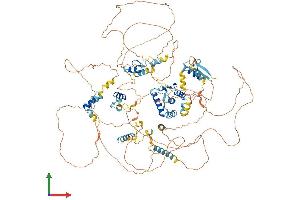 AlphaFold protein structure predicition of Human Recombinant TSHZ3 Protein, UniprotID Q63HK5