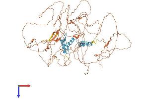 AlphaFold protein structure predicition of Human Recombinant SP3 Protein, UniprotID Q02447