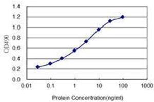 Detection limit for recombinant GST tagged PAX2 is 0. (PAX2A anticorps  (AA 194-303))
