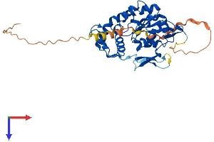 AlphaFold protein structure predicition of Mouse Recombinant Hs3st6 Protein, UniprotID Q5GFD5