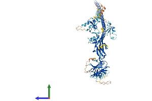 AlphaFold protein structure predicition of Mouse Recombinant Mid2 Protein, UniprotID Q9QUS6