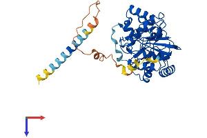 AlphaFold protein structure predicition of Mouse Recombinant St8sia3 Protein, UniprotID Q64689