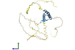 AlphaFold protein structure predicition of Mouse Recombinant Alx3 Protein, UniprotID O70137