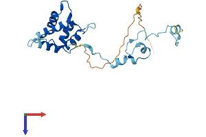 AlphaFold protein structure predicition of Human Recombinant TPPP Protein, UniprotID O94811