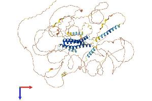 AlphaFold protein structure predicition of Mouse Recombinant Dlgap4 Protein, UniprotID B1AZP2