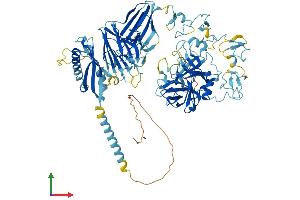 AlphaFold protein structure predicition of Human Recombinant ST14 Protein, UniprotID Q9Y5Y6