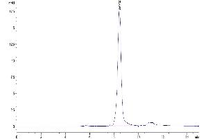 The purity of Mouse AFP is greater than 95 % as determined by SEC-HPLC.