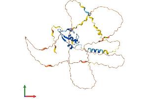 AlphaFold protein structure predicition of Mouse Recombinant Rnf44 Protein, UniprotID Q3UHJ8