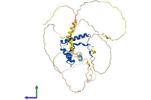 AlphaFold protein structure predicition of Mouse Recombinant Sox1 Protein, UniprotID P53783