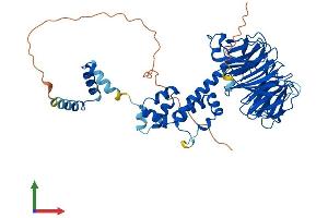 AlphaFold protein structure predicition of Human Recombinant FBXW11 Protein, UniprotID Q9UKB1
