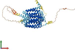 AlphaFold protein structure predicition of Human Recombinant SLC18A2 Protein, UniprotID Q05940