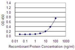 Detection limit for recombinant GST tagged HYAL4 is 1 ng/ml as a capture antibody. (HYAL4 anticorps  (AA 357-456))