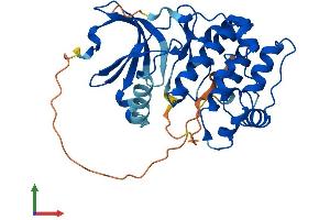 AlphaFold protein structure predicition of Human Recombinant AURKC Protein, UniprotID Q9UQB9