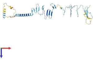 AlphaFold protein structure predicition of Human Recombinant SGCB Protein, UniprotID Q16585