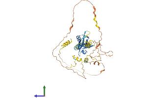 AlphaFold protein structure predicition of Mouse Recombinant Tamalin Protein, UniprotID Q9JJA9
