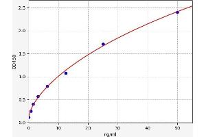 Typical standard curve (CNDP2 Kit ELISA)