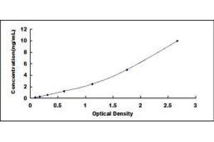 Typical standard curve