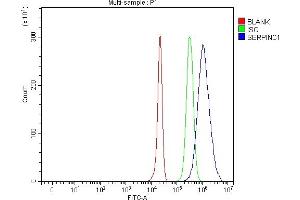 Flow Cytometry analysis of HepG2 cells using anti-Antithrombin III/SERPINC1 antibody (ABIN7602610). (SERPINC1 anticorps  (AA 89-464))