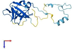 HERV-K104 (AA 1-156) protein (His tag)