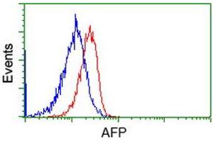 anti-alpha-Fetoprotein (AFP) antibody