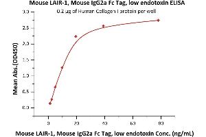 Immobilized Human Collagen I protein at 2 μg/mL (100 μL/well) can bind Mouse LAIR-1, Mouse IgG2a Fc Tag, low endotoxin (ABIN5954988,ABIN6809980) with a linear range of 1-10 ng/mL (QC tested). (LAIR1 Protein (AA 22-141) (Fc Tag))