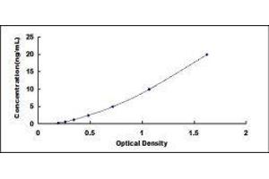 ELISA image for Coagulation Factor IX (F9) ELISA Kit (ABIN424066)