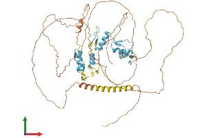 AlphaFold protein structure predicition of Human Recombinant ZIC2 Protein, UniprotID O95409