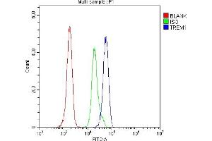 anti-Triggering Receptor Expressed On Myeloid Cells 1 (TREM1) (AA 21-200) antibody