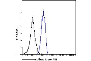 (ABIN5539582) Flow cytometric analysis of paraformaldehyde fixed K562 cells (blue line), permeabilized with 0.