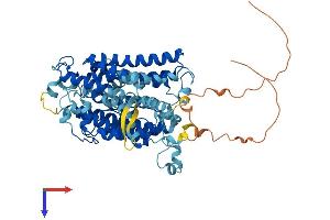 AlphaFold protein structure predicition of Human Recombinant SLC23A1 Protein, UniprotID Q9UHI7