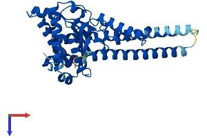 AlphaFold protein structure predicition of Human Recombinant DHDDS Protein, UniprotID Q86SQ9