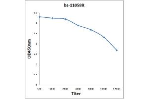 Antigen: 2 µg/100 µL  Primary: Antiserum, 1:500, 1:1000, 1:2000, 1:4000, 1:8000, 1:16000, 1:32000;  Secondary: HRP conjugated Rabbit Anti-Goat IgG at 1: 5000;  TMB staining Read the data in Microplate Reader by 450nm.