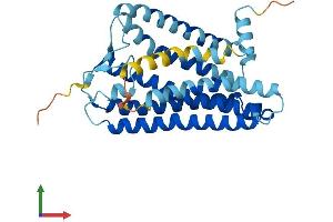 AlphaFold protein structure predicition of Human Recombinant OR6B2 Protein, UniprotID Q6IFH4