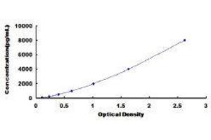 Cyclophilin B (PPIB) ELISA Kit