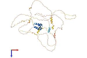 AlphaFold protein structure predicition of Mouse Recombinant Irx4 Protein, UniprotID Q9QY61