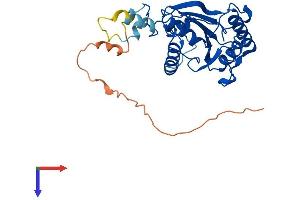 AlphaFold protein structure predicition of Human Recombinant PGAM5 Protein, UniprotID Q96HS1