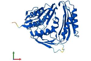 AlphaFold protein structure predicition of Mouse Recombinant RtcA Protein, UniprotID Q9D7H3
